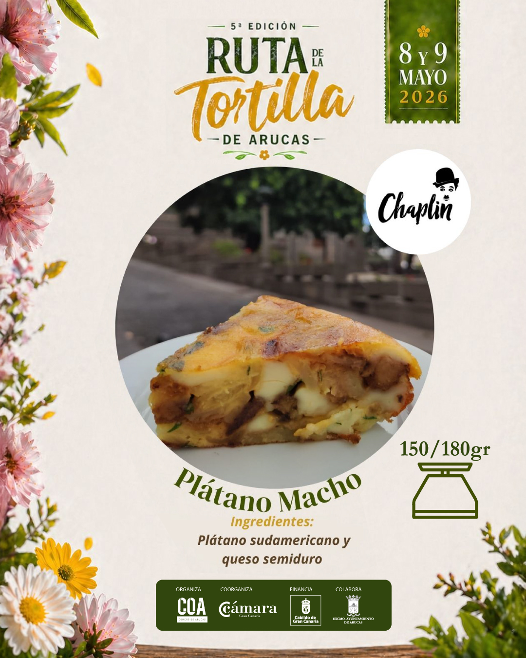 NEGOCIOS TORTILLAS 2026 COPYS (5)